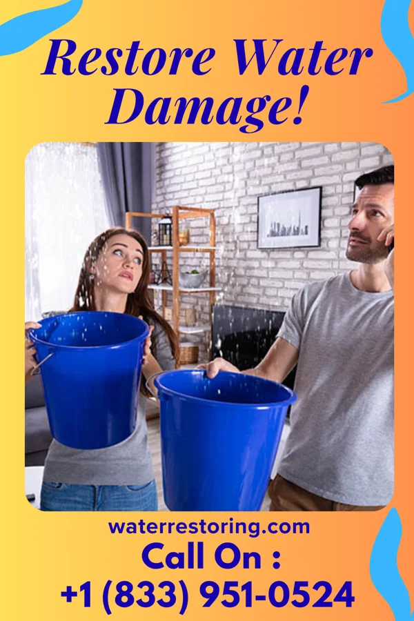 water restoration Pro Flood Recovery Experts Norcross